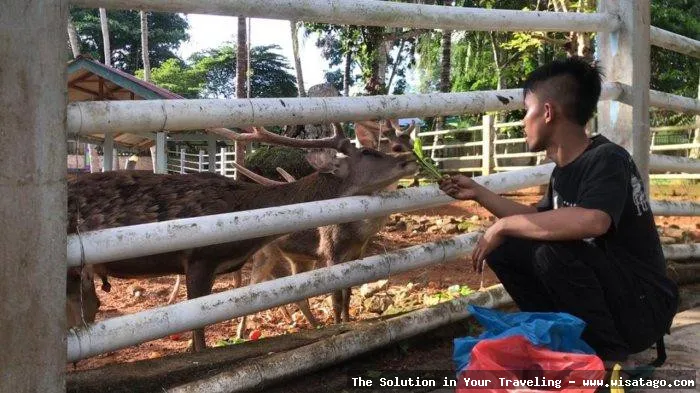 Mini Zoo KInjang, kebun binatang mini