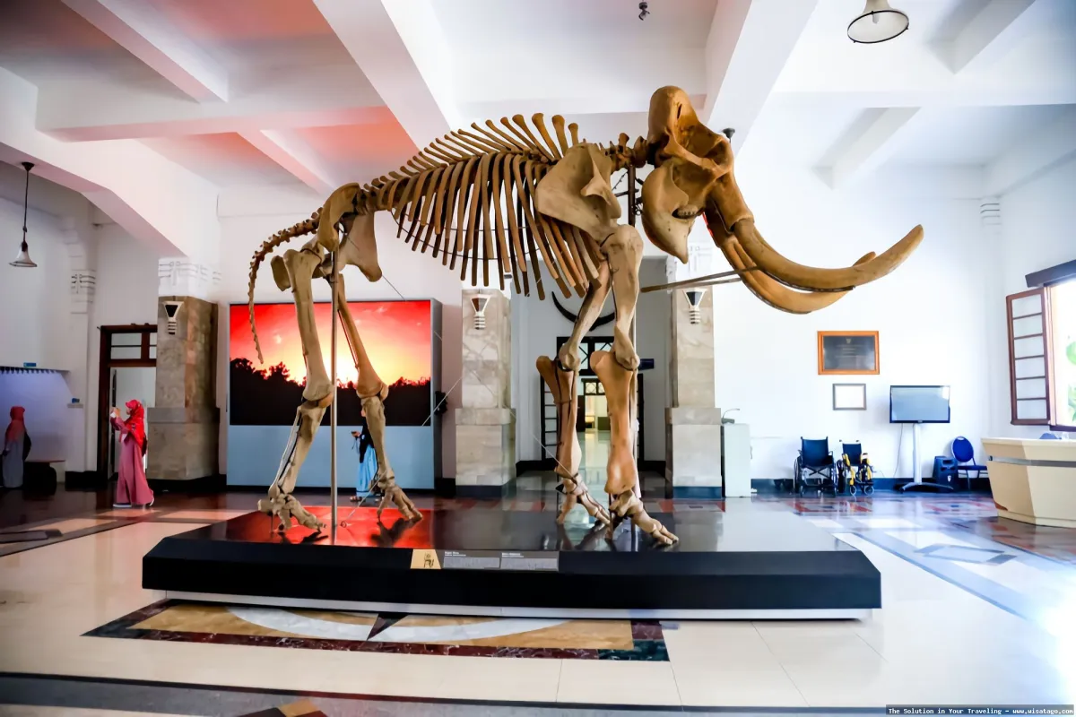 Museum Geologi Bandung, tampilan depan museum