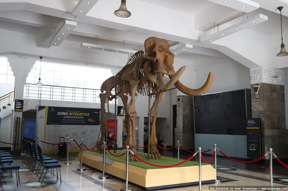 Museum Geologi Bandung, tampilan depan museum