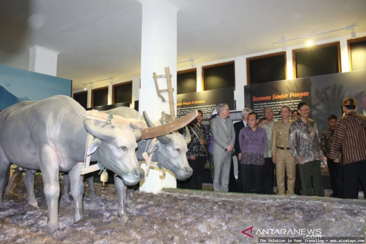 Museum Tanah, koleksi contoh profil tanah