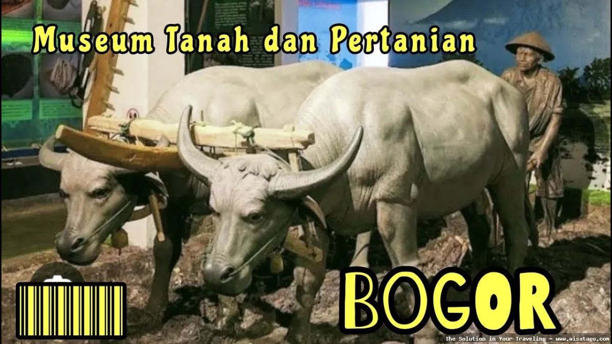 Museum Tanah: koleksi dan informasi tanah.
