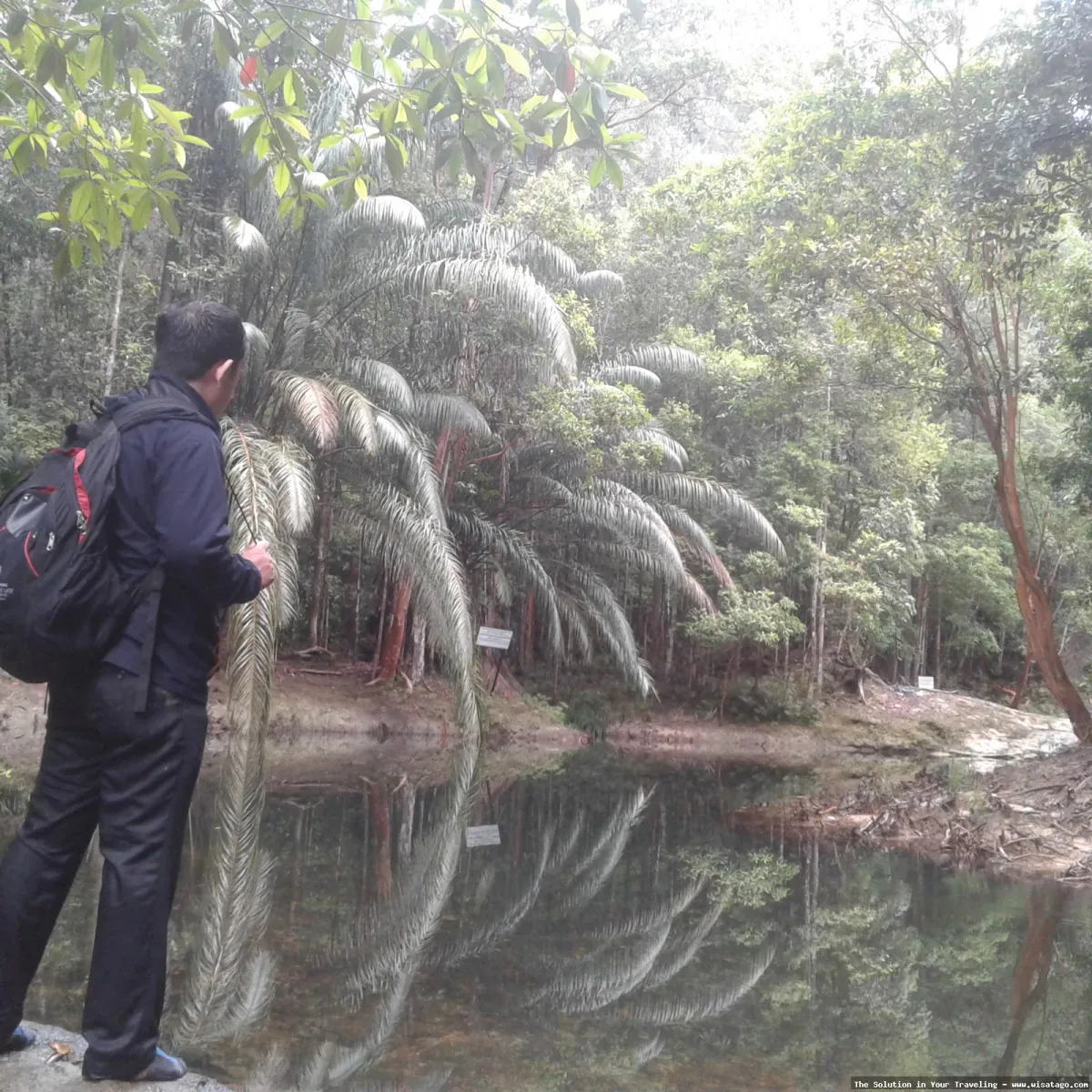 Objek Wisata Gunung Tambolang yang menawan
