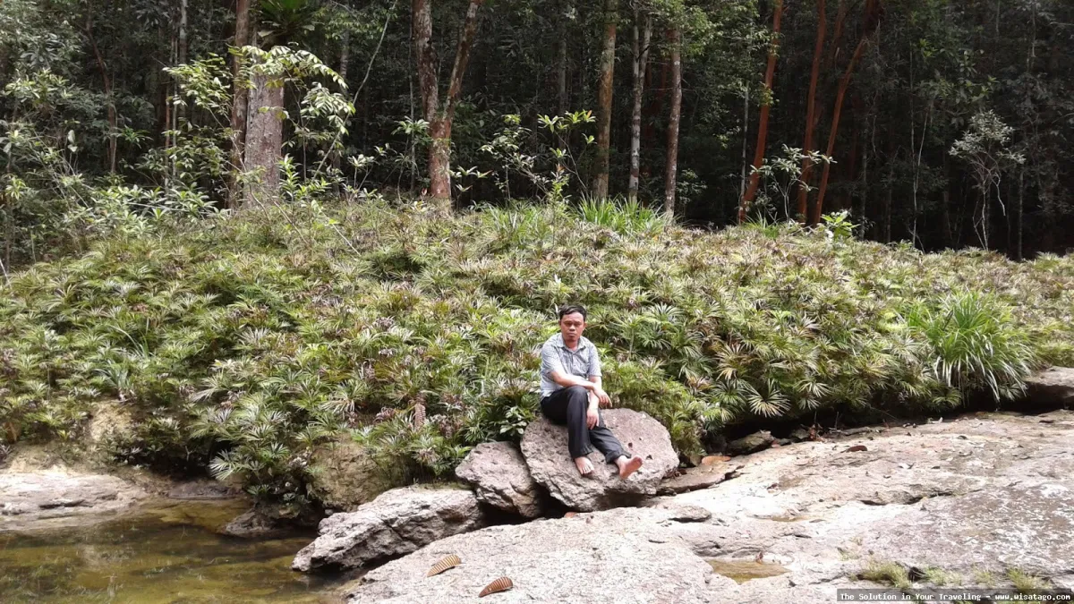 Objek Wisata Gunung Tambolang yang memukau