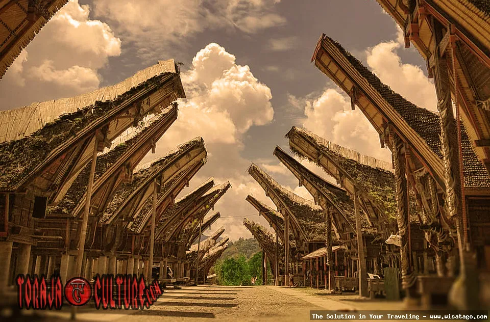 Objek Wisata Palawa, rumah adat unik