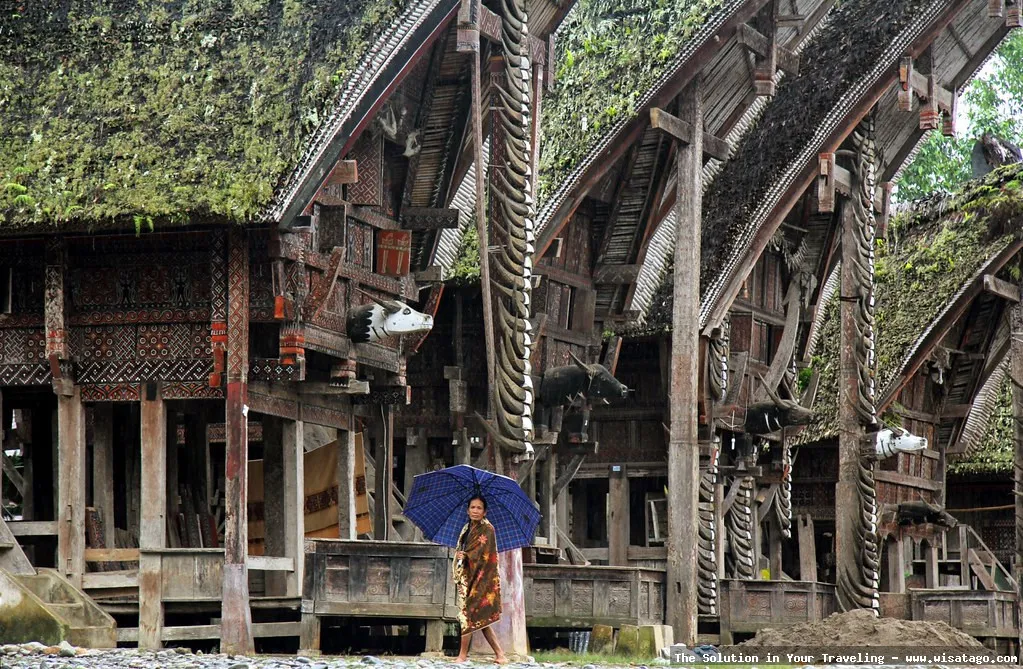 Objek Wisata Palawa, rumah adat unik