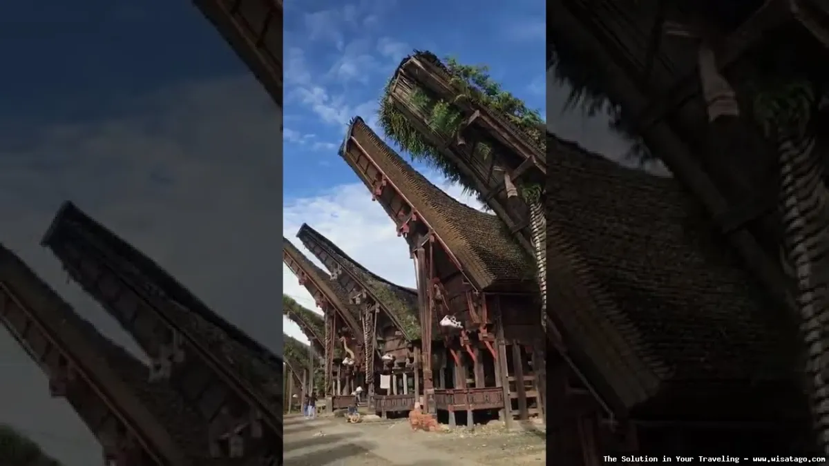 Objek Wisata Palawa, rumah adat unik