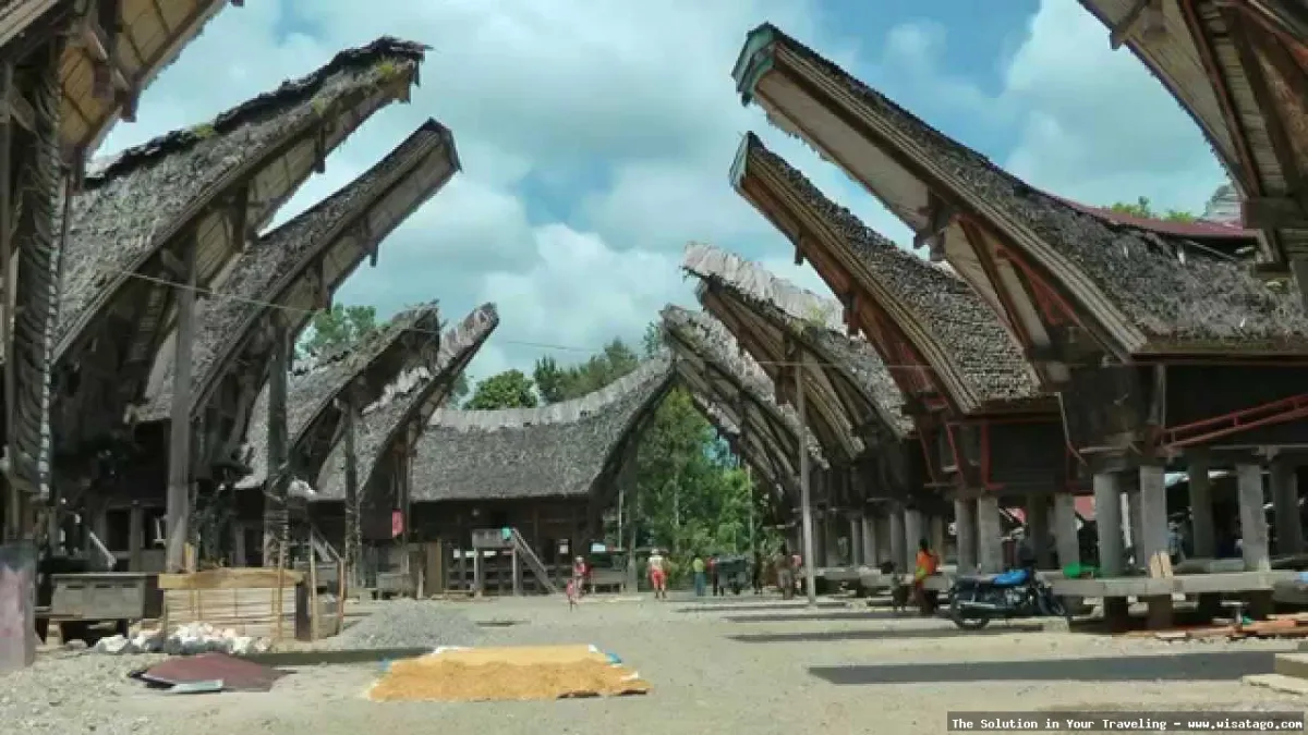 Objek Wisata Palawa, rumah adat unik