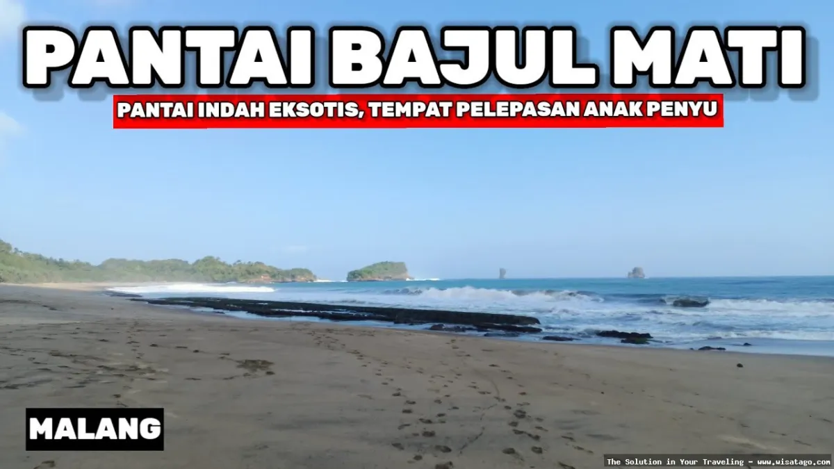 Pantai Bajul Mati yang mempesona.