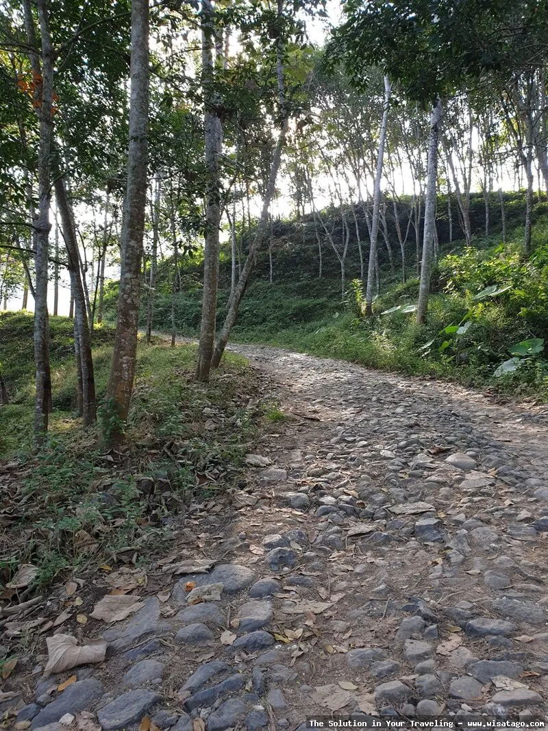 Pantai Bandealit, keindahan alam menawan.