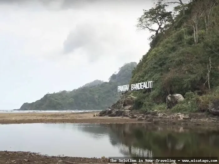 Pantai Bandealit, keindahan alam memukau