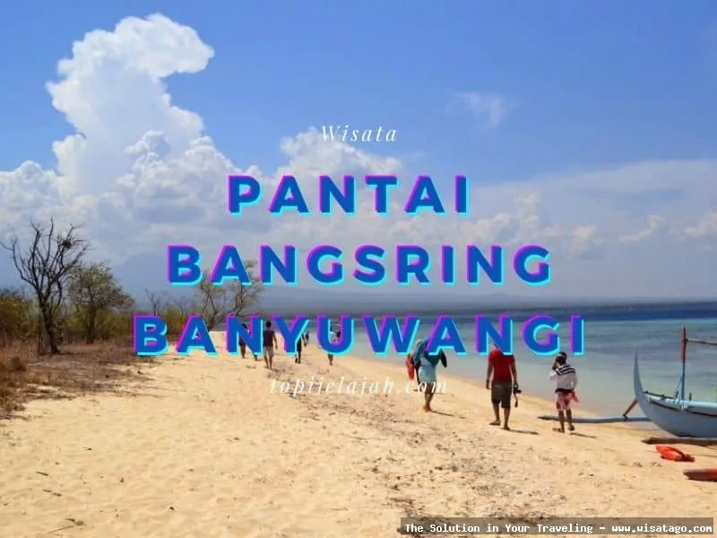 Pantai Bangsring, keindahan bawah laut.