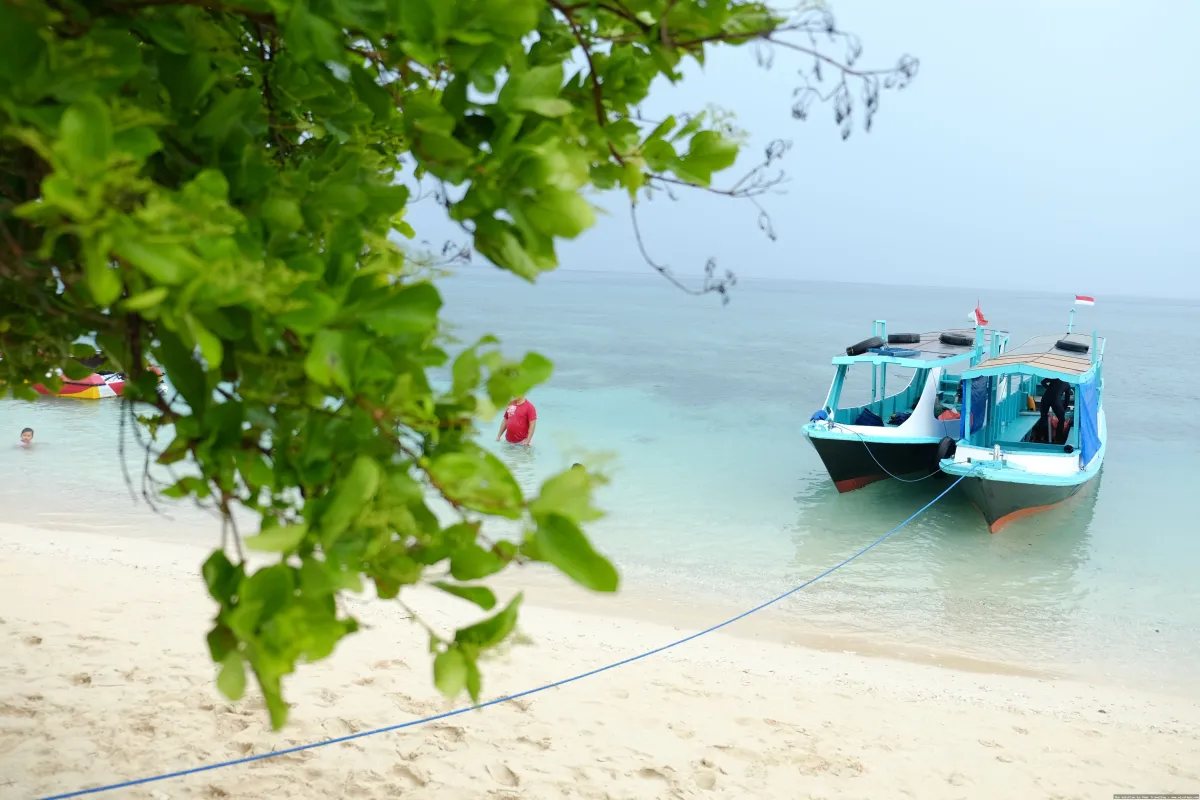 Pantai Bangsring, keindahan bawah lautnya
