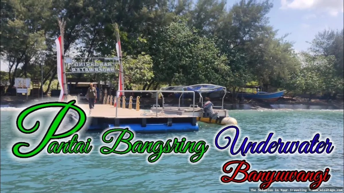 Pantai Bangsring, keindahan bawah lautnya