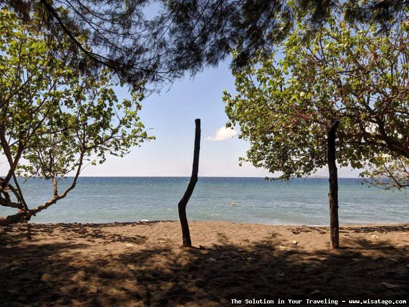Pantai Bangsring: keindahan bawah lautnya