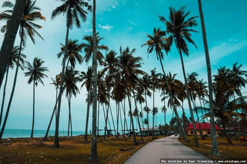 Pantai Batu Bongkok, pesona alam indah.