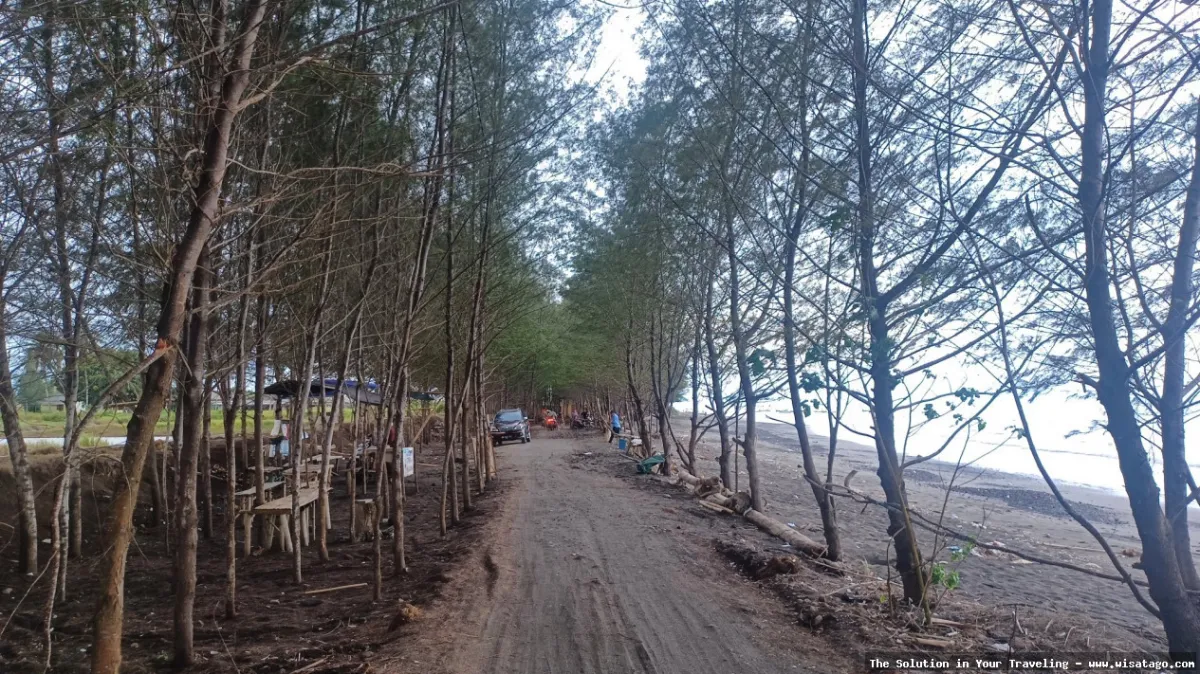 Pantai Blimbingsari: Tips, Harga Tiket, Kuliner, Lokasi, Fasilitas dan Spot Pantai Blimbingsari: Tips, Harga Tiket, Kuliner, Lokasi, Fasilitas dan Spot