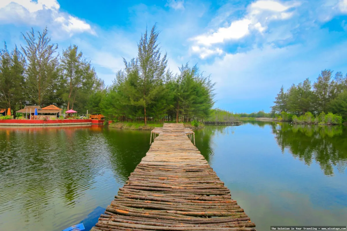 Pantai Cemara dengan barisan pohon cemara