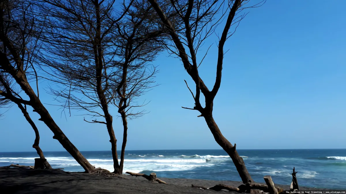 Pantai Cemara dengan pasir putihnya