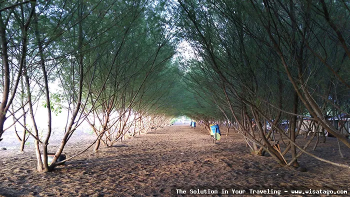 Pantai Cemara, keindahan alam memukau
