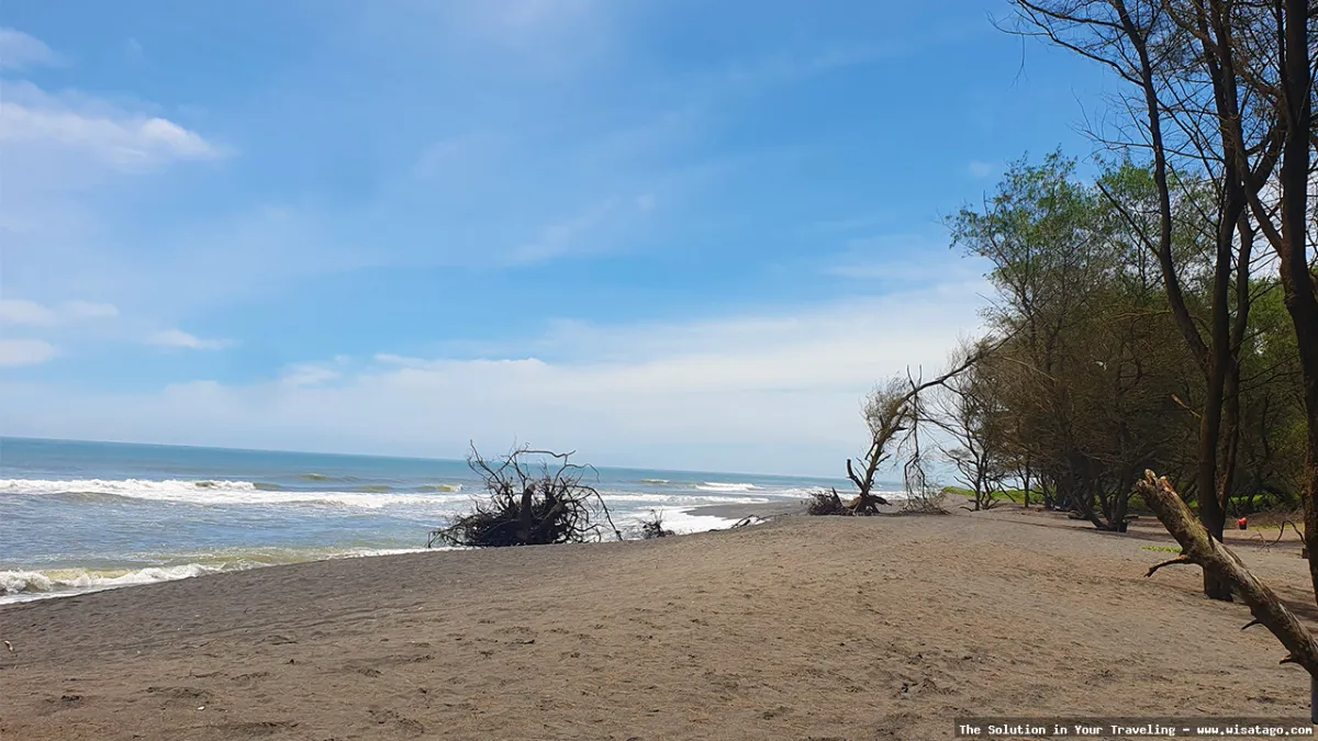 Pantai Cemara: Keindahan alam memukau