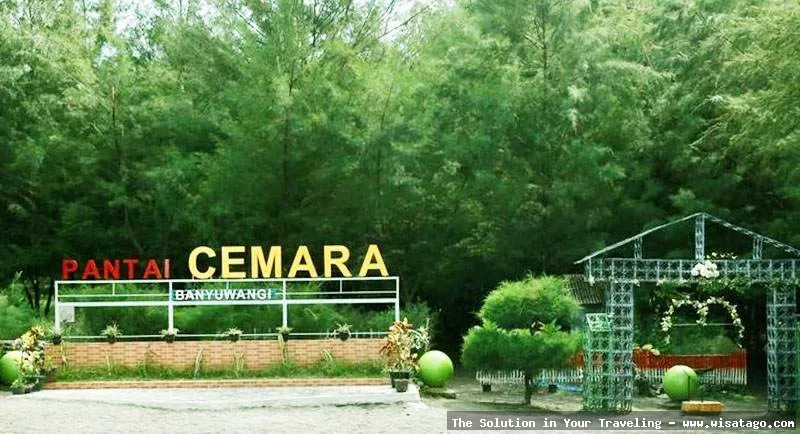 Pantai Cemara Banyuwangi yang menawan alami