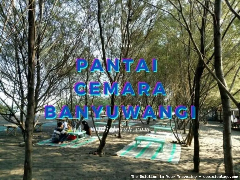 Pantai Cemara Banyuwangi, pesona alam indah