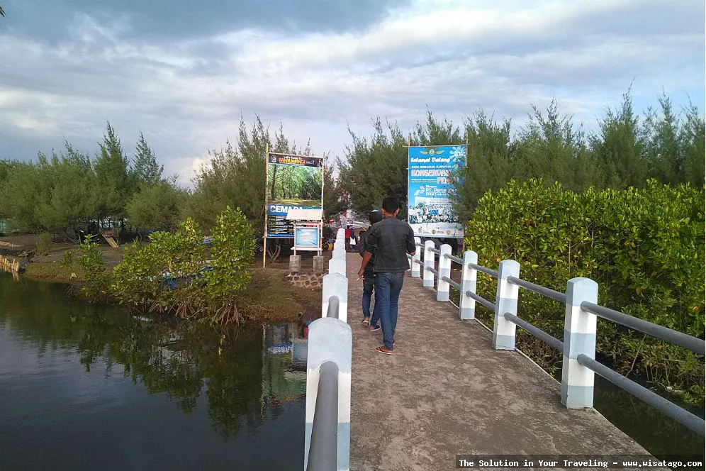 Pantai Cemara Banyuwangi indah dan asri
