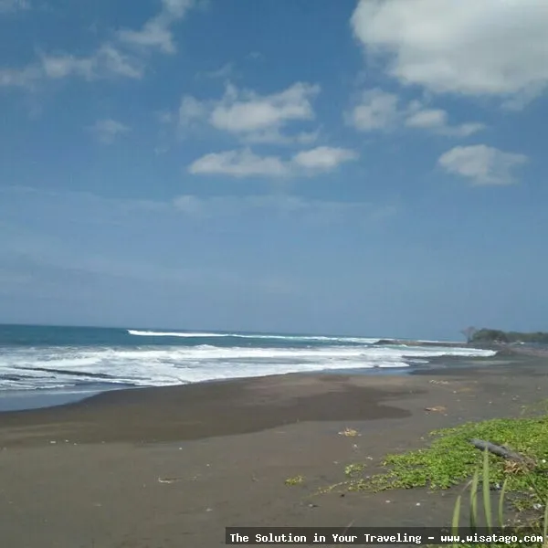Pantai Cipatujah, pesona laut selatan