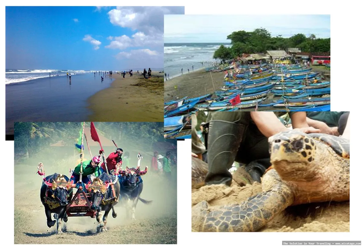 Pantai Cipatujah, deburan ombak selatan.