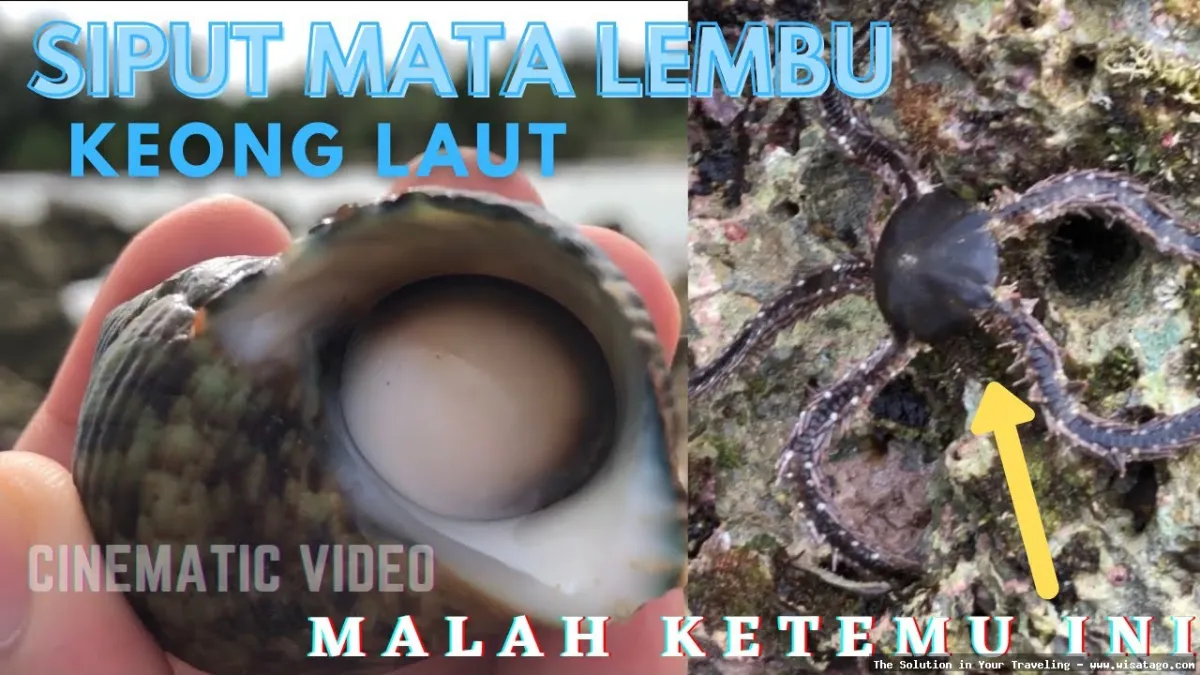 Pantai Desa Latiung yang indah mempesona