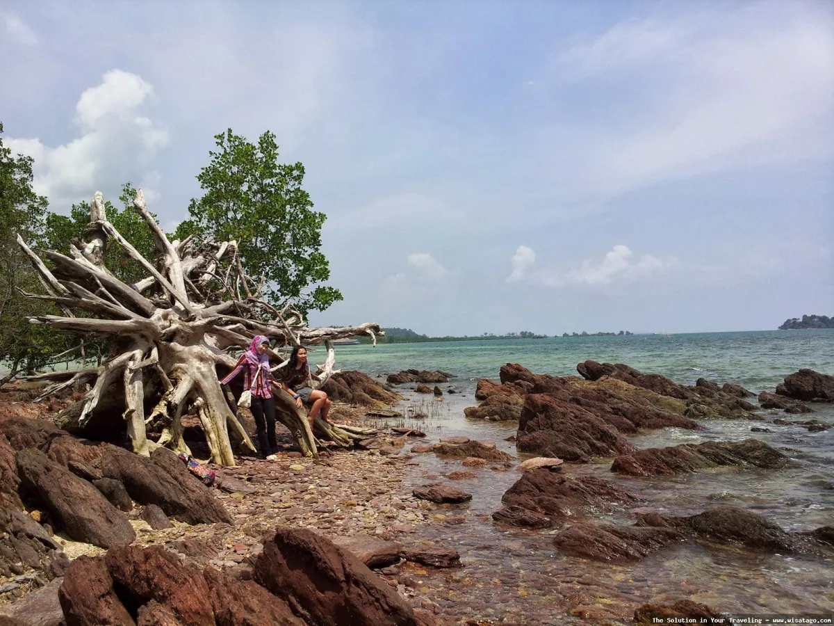 Pantai Galang Mas: Tips, Harga Tiket, Kuliner, Lokasi, Fasilitas dan Spot Pantai Galang Mas: Tips, Harga Tiket, Kuliner, Lokasi, Fasilitas dan Spot