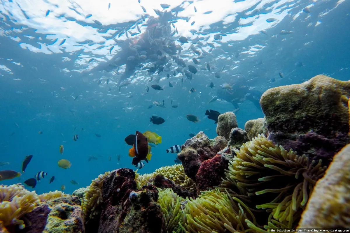Pantai Gili Nanggu, pasir putih tenang