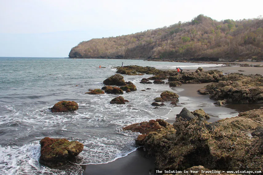 Pantai Grajagan: Tips, Harga Tiket, Kuliner, Lokasi, Fasilitas dan Spot Pantai Grajagan: Tips, Harga Tiket, Kuliner, Lokasi, Fasilitas dan Spot