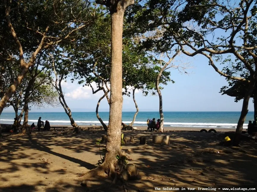 Pantai Grajagan, keindahan alam Banyuwangi.