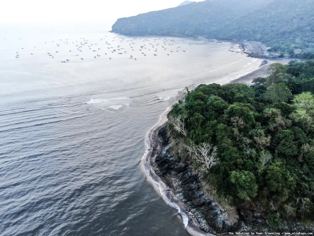 Pantai Grajagan, keindahan alam Banyuwangi