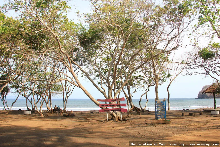 Pantai Grajagan, keindahan alam Banyuwangi