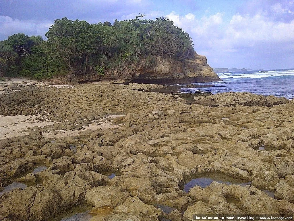 Pantai Jonggring Saloko, keindahan alam.