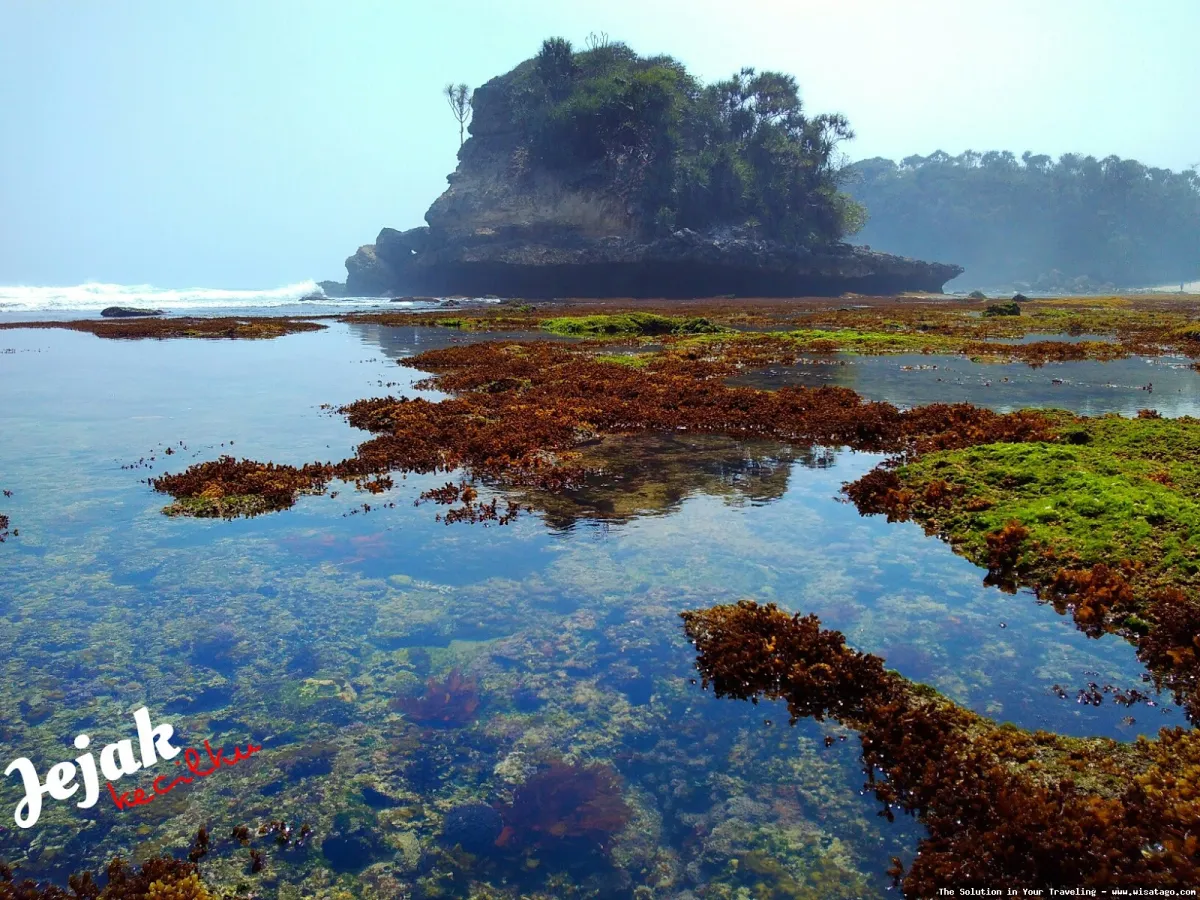 Pantai Jonggring Saloko yang mempesona
