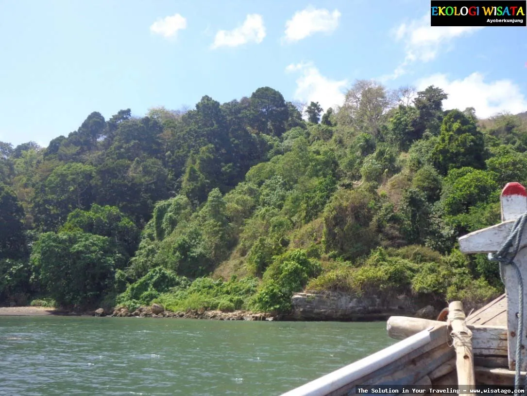 Pantai Kucur: pesona pantai selatan