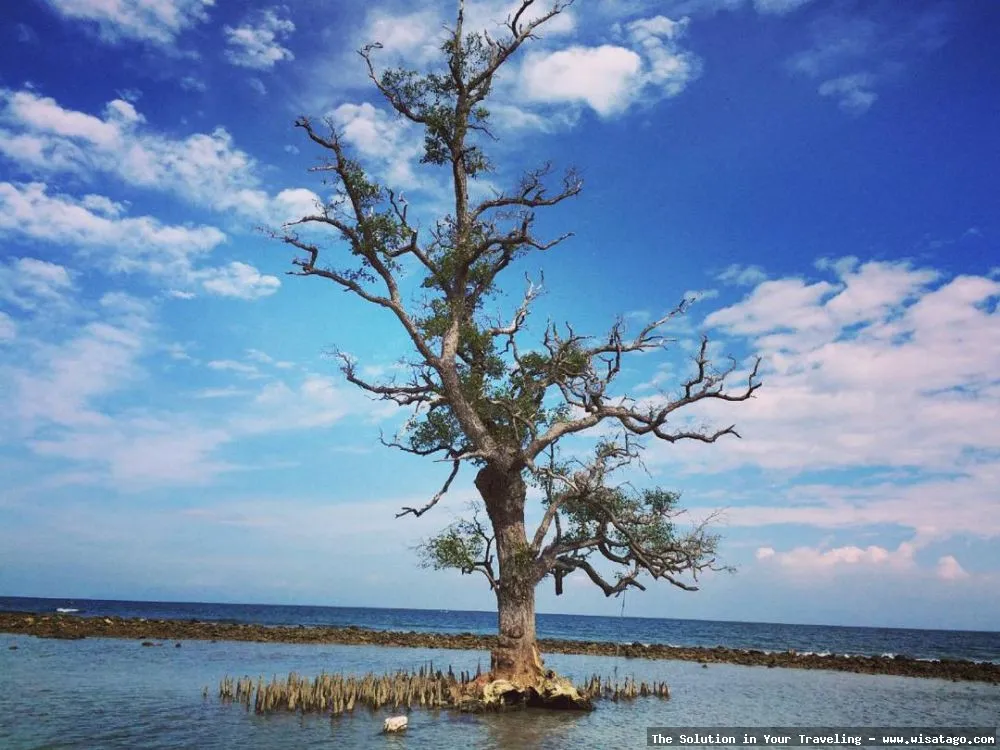 Pantai Lhok Mee: pesona pantai Aceh