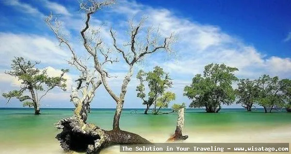 Pantai Lhok Mee, pesona pantai Aceh