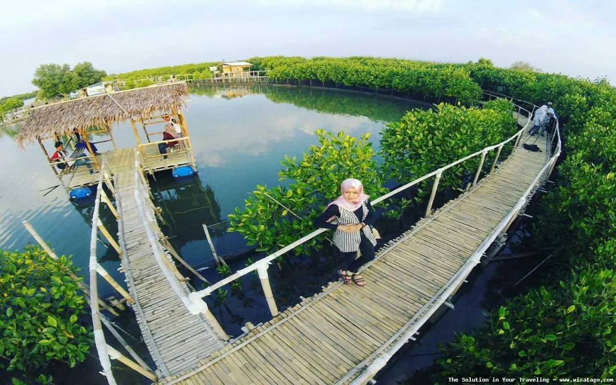 Pantai Maron, keindahan tersembunyi Semarang