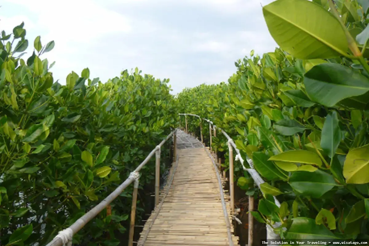 Pantai Maron, keindahan pesisir Semarang