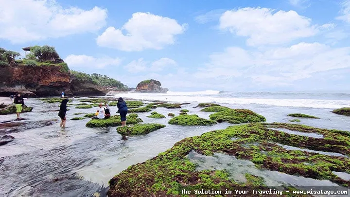 Pantai Mbuluk, keindahan tersembunyi Yogyakarta
