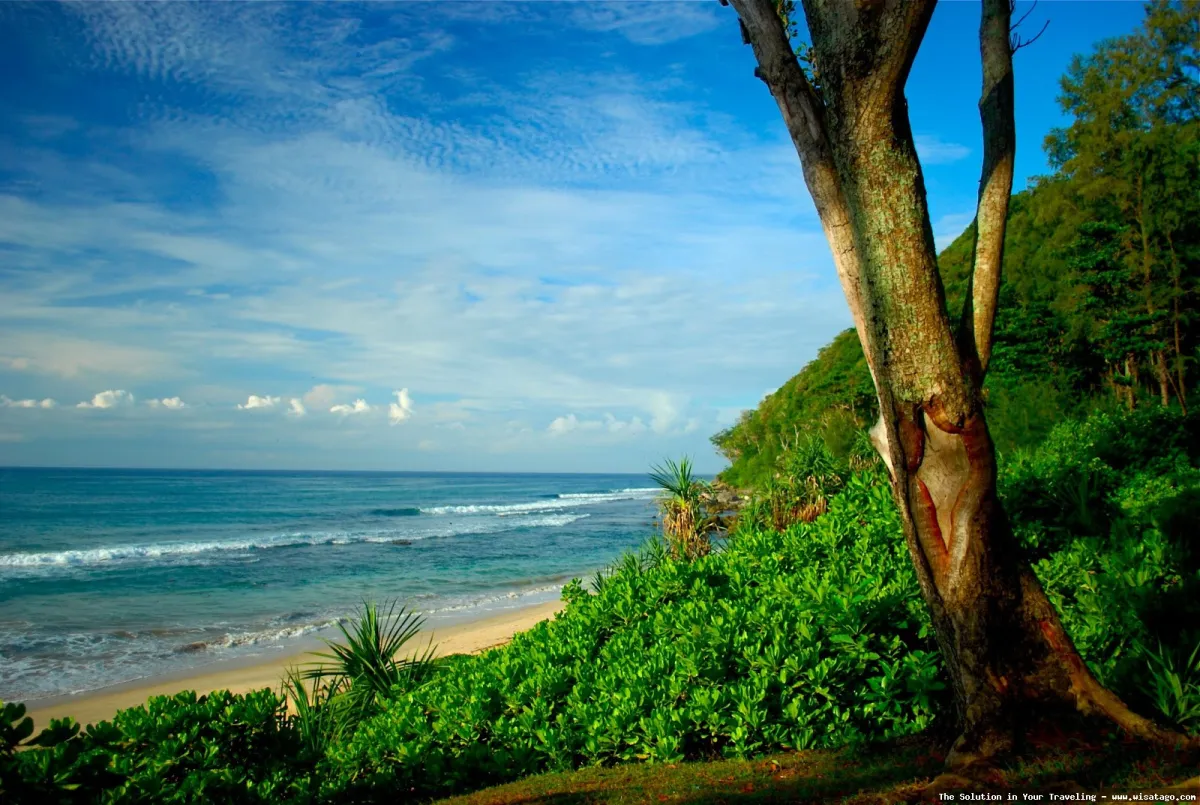 Pantai Momong, keindahan pantai tersembunyi