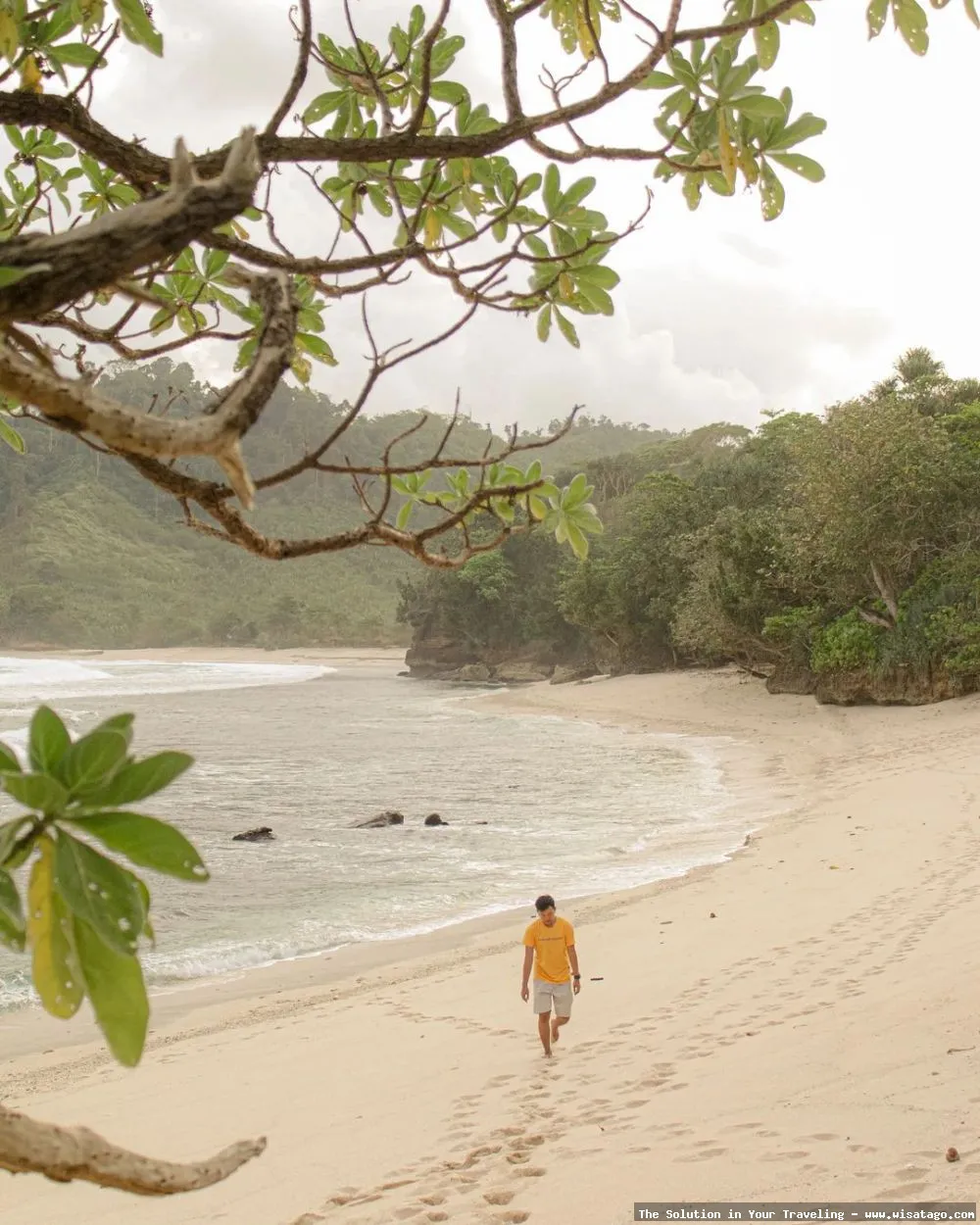 Pantai Ngalur, pesona alam menawan.