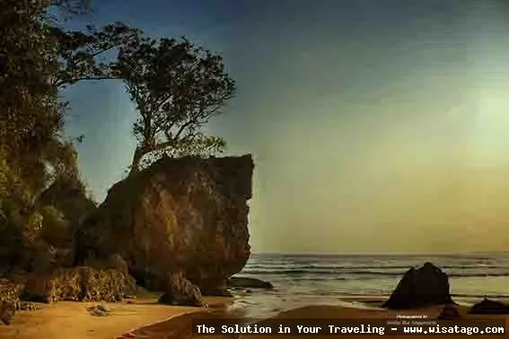 Pantai Ngantep, keindahan tersembunyi Malang