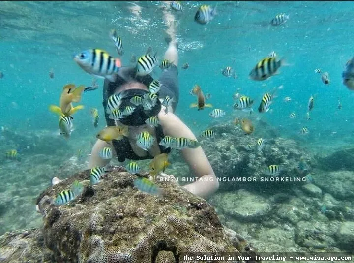 Pantai Nglambor GunungKidul yang mempesona.