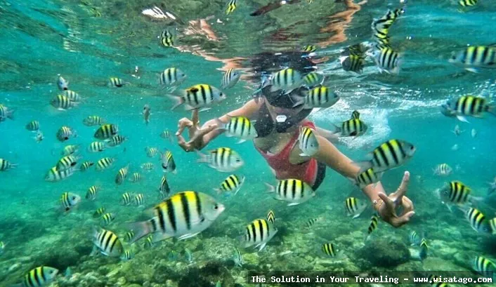 Pantai Nglambor GunungKidul yang menawan alami