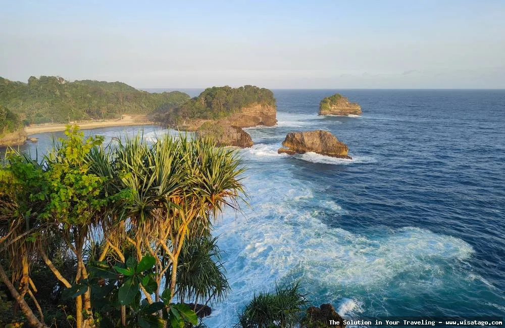 Pantai Ngliyep, keindahan pesisir Malang